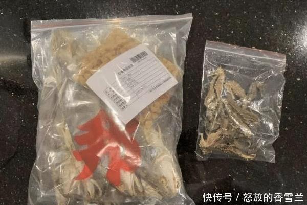 去香港和澳门旅游,这些东西不能购买,不但无法入境还可能被罚款