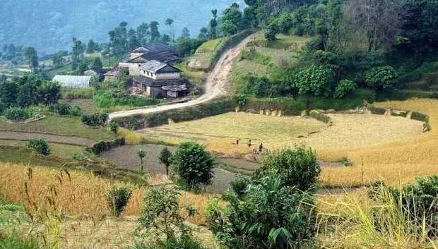 孩子的户口在城市，你是否会把孩子的户口转回农村！