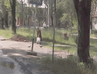 Gif动图:女儿大婚，女婿闯门，而她爸却在干这个?