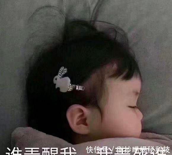 王诗龄是什么人