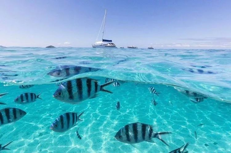 全球唯一没有癌症的国家！跨双时空！比马代便宜，比塞班纯净...