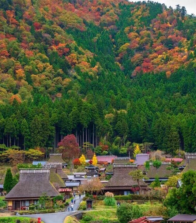 人口大城市化的日本，农村啥样？