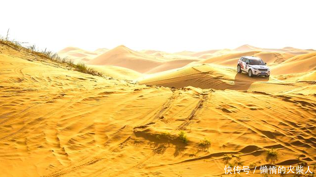 最“任性”的沙漠,每年都有一个月变成植物王国,旱季寸草不生