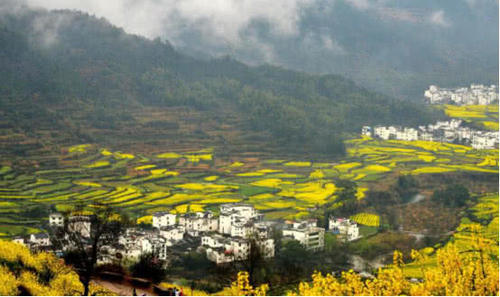 国内最美高铁：沿途遍布5A级景区，游客争相乘坐，场面堪比春运