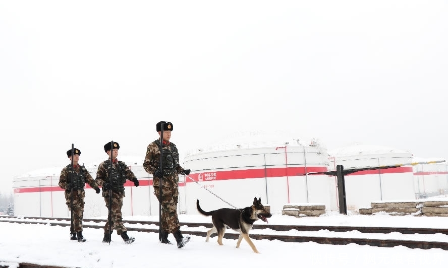 战风雪斗严寒恪尽职守:武警官兵雪中坚守确保安全