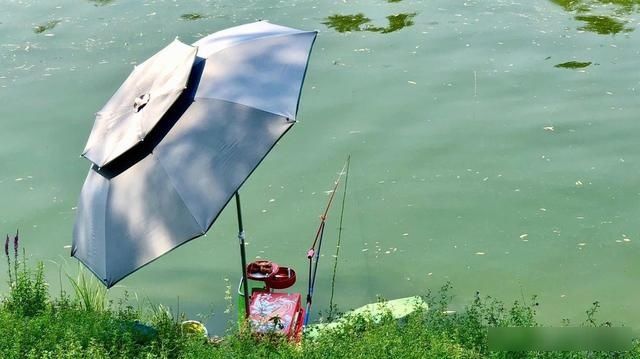  『钓点』还在为水库垂钓如何选择钓点而烦恼？你想要的都在这里
