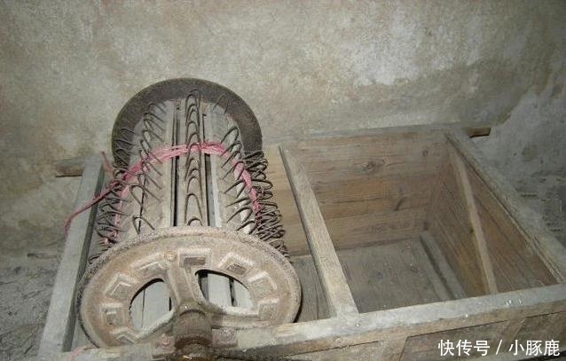 认识5个正常, 10个算厉害, 全部都认识的你就超“神”了!