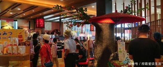 看完德国高速服务区，再看中国高速服务区，德国人表示想不通