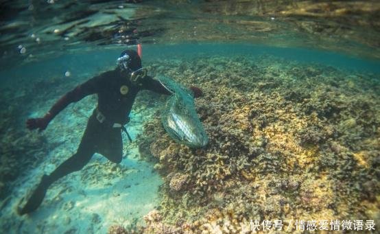 国内这座总面积最大的城市是日本国土的5倍，还禁止外国人进入