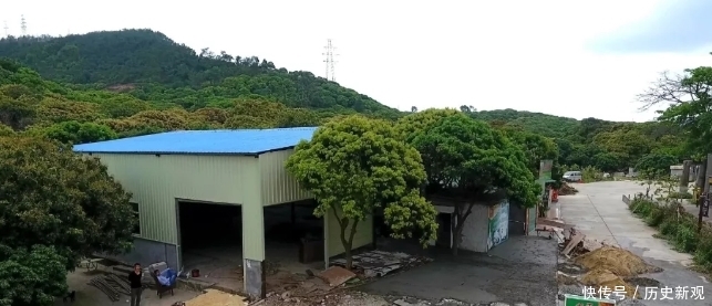 广东观音山国家森林公园有人私搭乱建 相关部门：限期恢复原貌