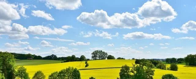 人民网：切段农民后路的“城镇化”是个断子绝孙的馊主意！