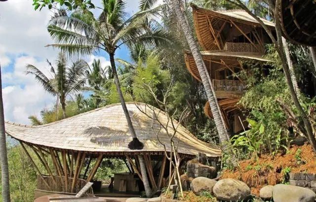 她用竹子建了一个别墅,引来全世界40多个国家围观!