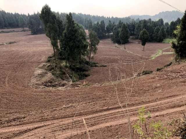  『模式』从“烫手”到“抢手”，蓬溪县明月镇“四耕”模式“唤醒”两千亩撂荒地