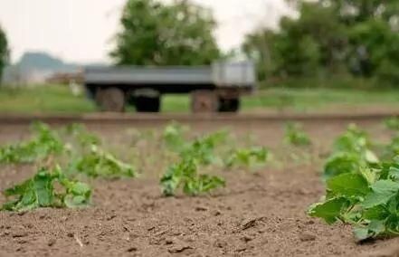  「条件」农村户口迁出容易、迁回难→“非转农”满足5个条件，才