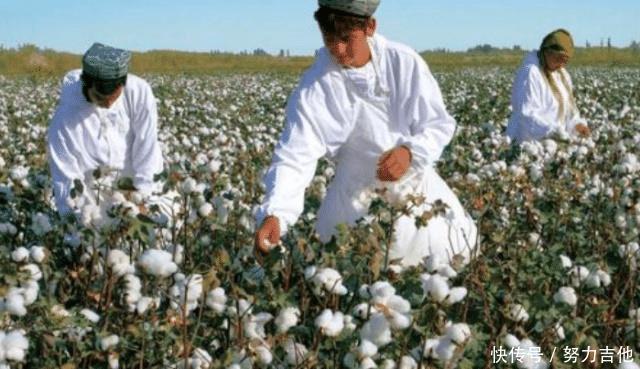  【们中国】印度把他们的棉花低价卖给我们国家，再用高价买回去，这是为何！