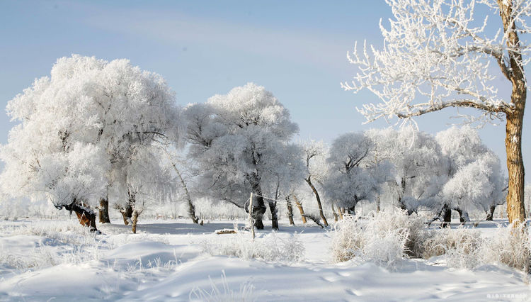 冬天童话般的仙境，大雪过后的北国哈尔滨