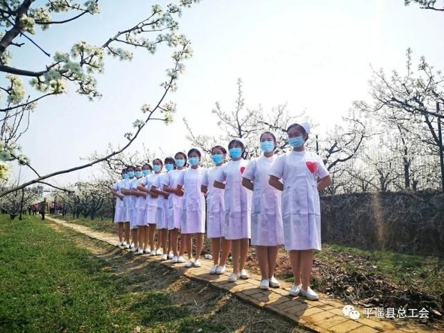『梨花』平遥县职工摄影协会组织开展“助力复工复产--云赏梨花”采风活动