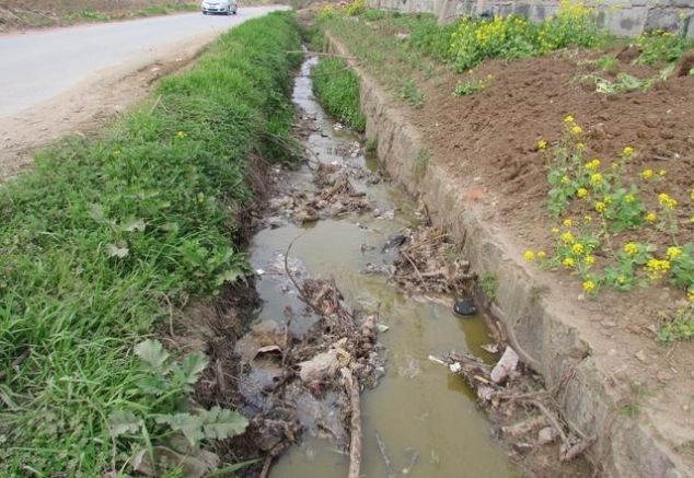 风水学告诉你：风水中的“水”哪些吉利？哪些不吉？