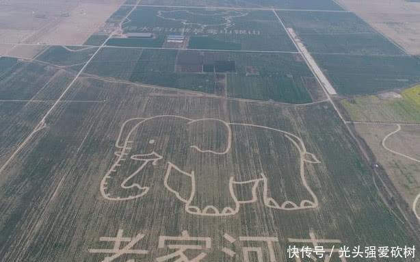  豫州：河南没有大象，为什么简称“豫”？那山西应该简称“矿”