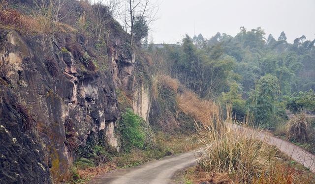 精美明代石刻隐于自贡山野，自然人为双重破坏，亟待保护命堪忧