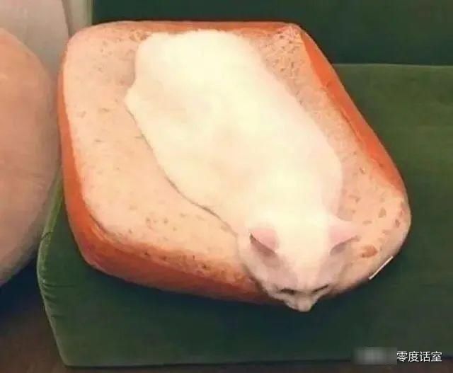  #身为#身为一枚吃货，馋起来看啥都像吃的！