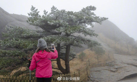 黄山景区现大面积雾凇奇观 本周将迎降雪