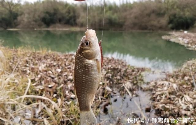  【钩子大】钓不到鱼是钩线挡口？学会正确地判断，才能尽早打破空军僵局