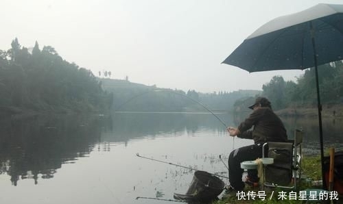 「天气」这里的鱼不仅多, 而且傻, 钓鱼拉得手抽筋