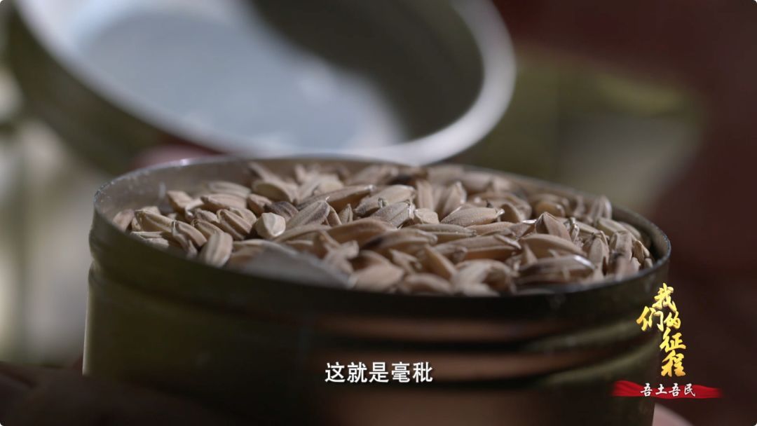  「创造奇迹」中国碗里装满中国粮！看，这片神奇的土地如何创造