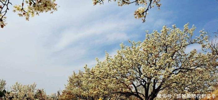 山东正在大力修建一条高速，计划明年通车，4个县市迎机遇