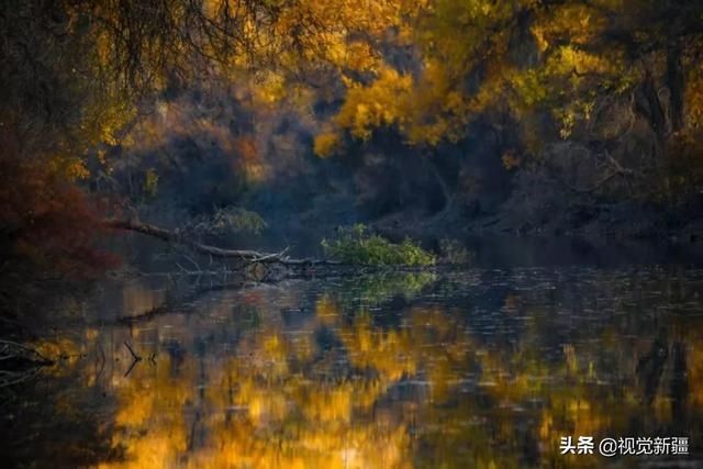 大山 沙漠 湖泊 金胡杨是大自然最完美的构图