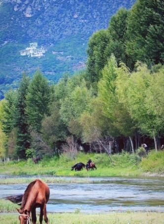  『没想到』跨苍山过洱海，没想到这里隐藏着十年前的大理