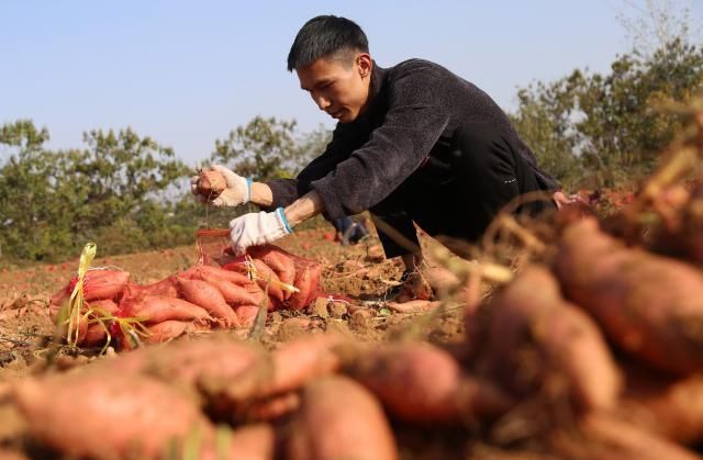  「名校」名校大学毕业生一心想找“铁饭碗”，考公务员失败后回