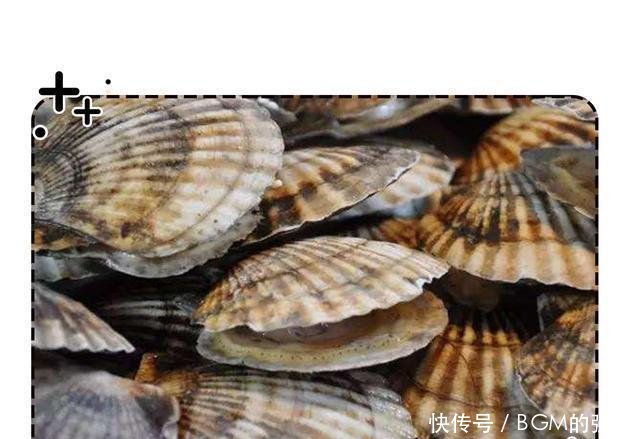 『堪称』能让扇贝跑路的瑶柱,还堪称海中的“天然味精”!