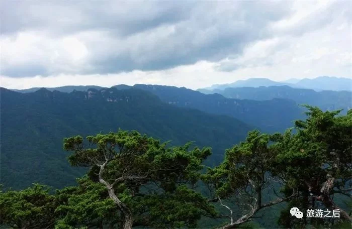 神农架有个小众景点,不仅能观赏云海,还是让人忘记喧嚣的好地方【2020热门旅游景点】