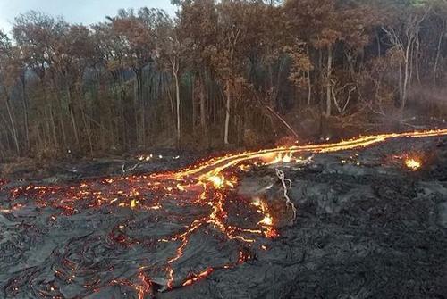 夏威夷活火山喷发 熔浆吞噬森林
