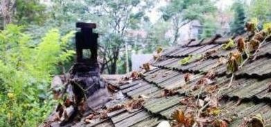 专家：建议禁止农民烧柴火做饭，老农：这是站着说话不腰疼