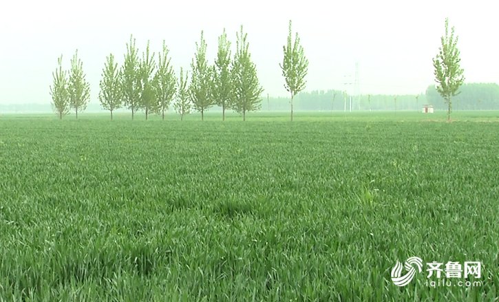  [气象]海丽气象吧∣大范围降雨来了！山东7市有大雨局部暴雨 海上有9级大风