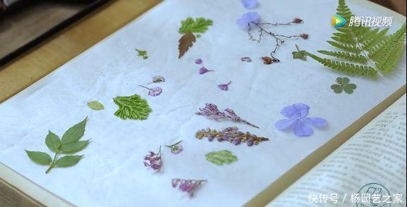  『干花滴胶』DIY人造琥珀，把花保存100年，水晶滴胶手工制作附教程