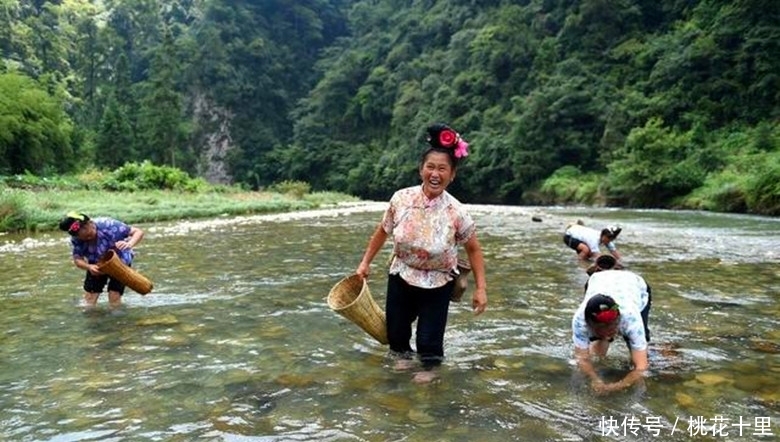 农村老人常说；“水过百天自生鱼”，这鱼到底从哪来的呢？