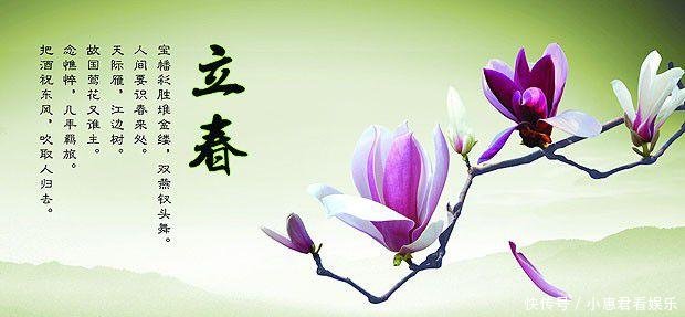 明年猪年即将进入寡妇年, 为什么猪年无立春