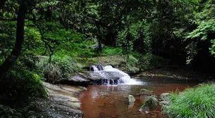  『解封』解封之后都是假期，推进几个说走就走的无病毒景点