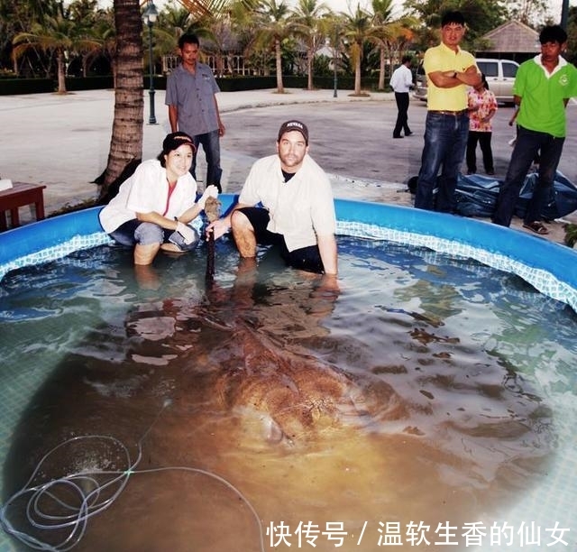 强烈要求李大毛老师停止游钓中国, 远征湄公河降服真正的巨物