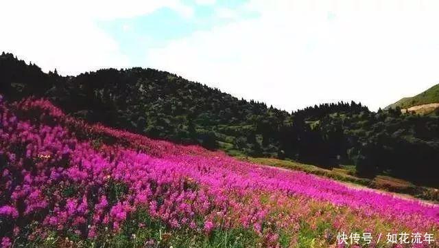 新疆有个地方,比香港还晚回归!景色却美到无法无天!