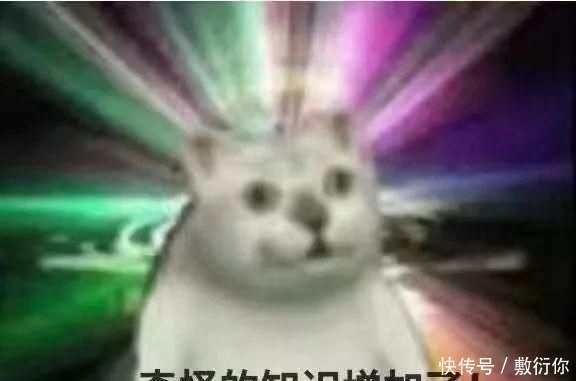 『好笑』“钓不到钓不到,一条也钓不到!”无人机喊话劝退聚集野钓者,太好笑