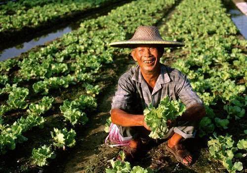 这3个职业以前是农村的“铁饭碗”，如今却被淘汰，00后没见过