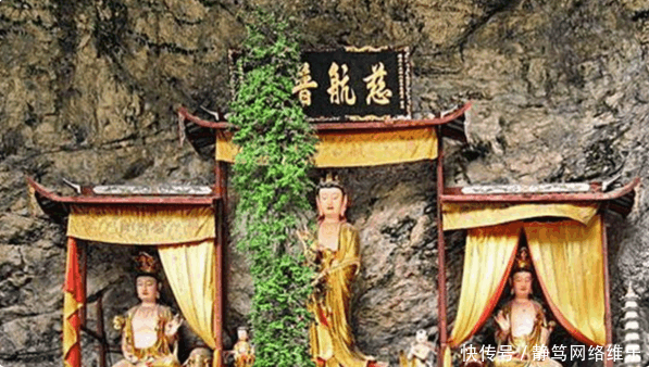 观音佛像前开出“千年宝莲花”, 终年无阳光和水, 只“保护”佛像