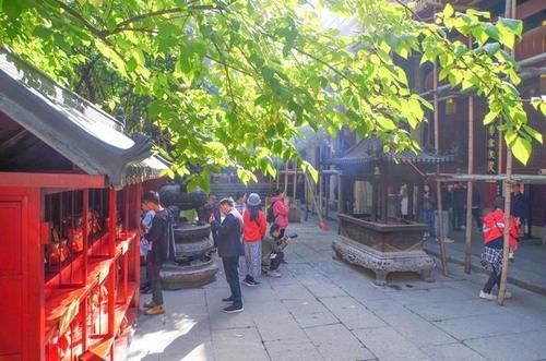 这里遍地都是硅化木化石，还有满坡的恐龙蛋却没有人去挖