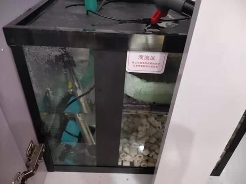  [急于求成]调理鱼缸水质，不是在做单项选择题，也不要急于求成