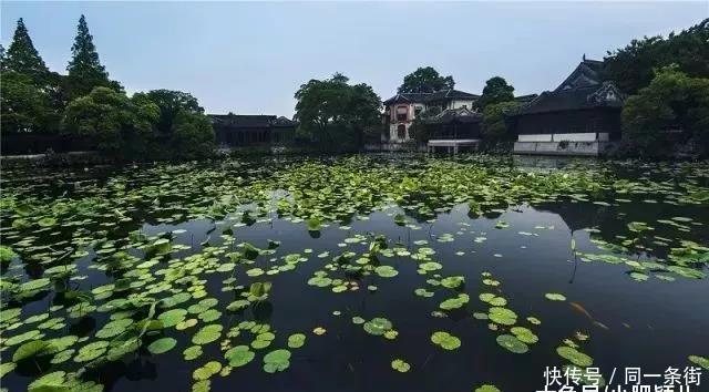 浙江这座低调古镇，没有丽江西塘闻名，却能让人一见倾心